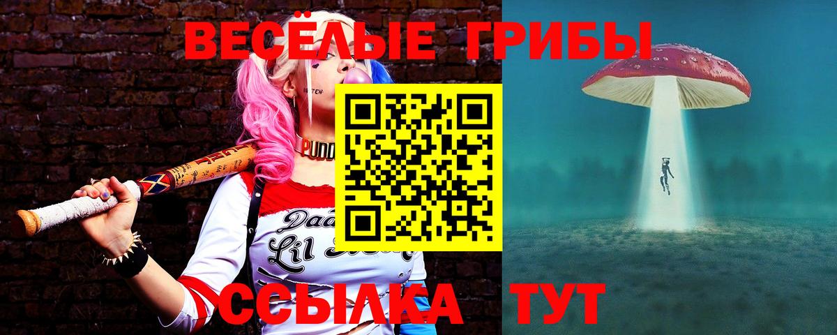 Галлюциногенные грибы Psilocybe Джанкой